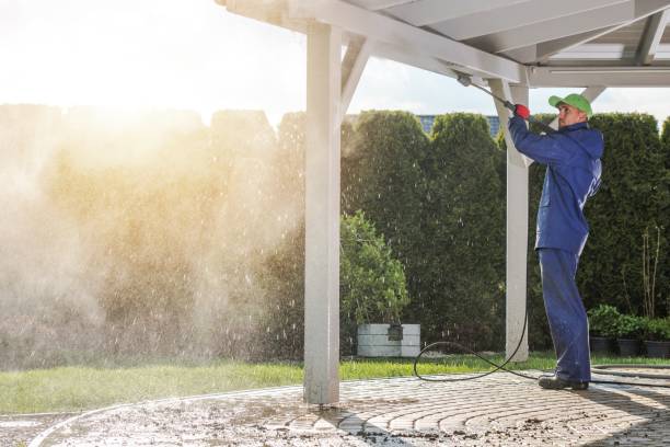 Best Driveway Pressure Washing  in Clifton Forge, VA